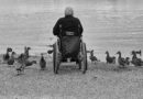 man, wheelchair, ducks, lake, nature, water, feed, person